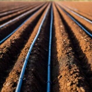 What is the Drip Irrigation System? 3 Uses of Drip Irrigation