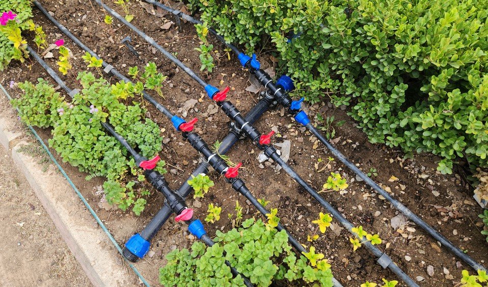 micro irrigation for agriculture use.jpg