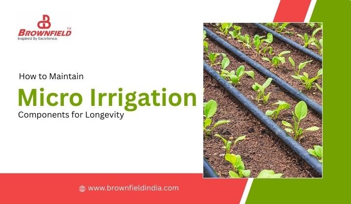 How to Maintain Micro Irrigation Components for Longevity