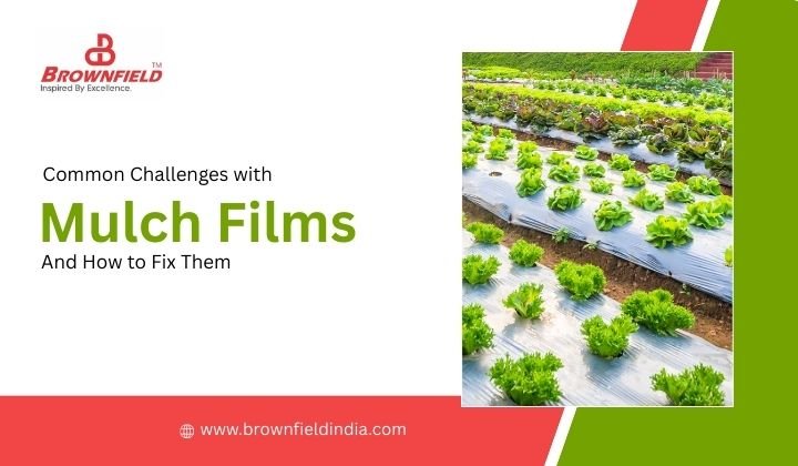 Common Challenges with Mulch Films and How to Fix  Them