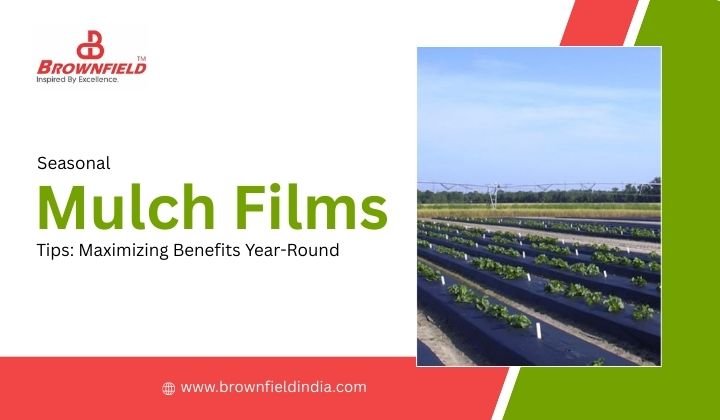 Seasonal Mulch Film Tips: Maximizing Benefits Year-Round