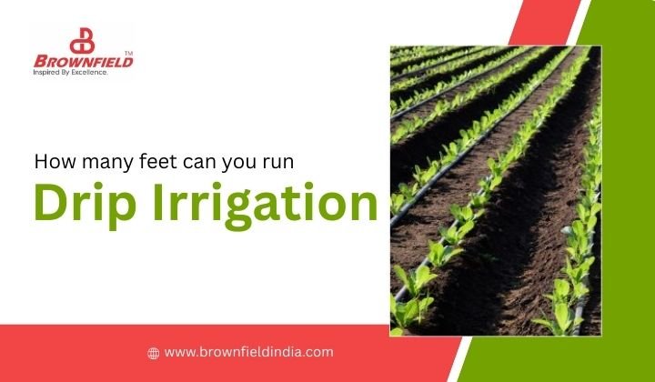 How Many Feet Can You Run Drip Irrigation?