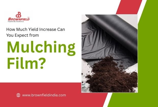 mulching film used in agricultural field to improve crop yield and maintain soil moisture