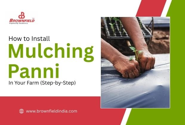 Farmer installing mulching panni on farm beds to conserve moisture, control weeds, and improve crop growth in agriculture.