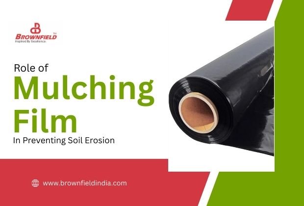 Role of Mulch Film in Preventing Soil Erosion