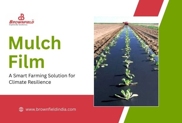 Mulch Film: A Smart Farming Solution for Climate Resilience