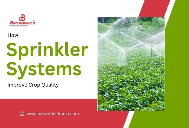 How Sprinkler Systems Improve Crop Quality