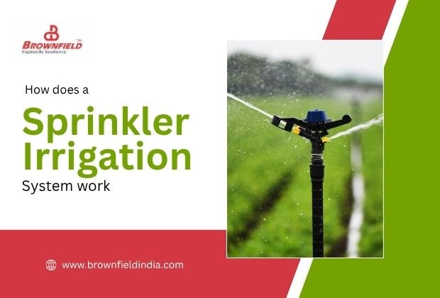 How Does a Sprinkler Irrigation System Work?