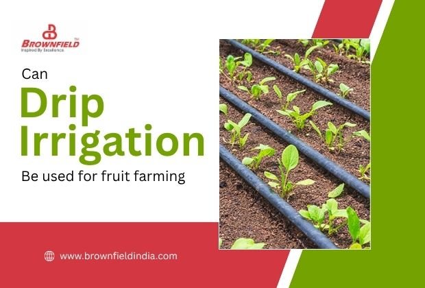 Can Drip Irrigation Be Used for Fruit Farming? 